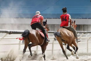 香港特马王资料免费公开|深度分析解释落实_尊贵款.0.796
