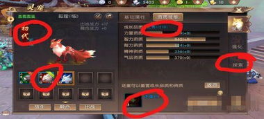 (轩辕传奇手游官方下载)探寻轩辕传奇手游官网，畅玩精彩游戏体验